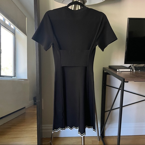 PROENZA SCHOULER ZIG ZAG KNIT DRESS (LIKE-NEW) SZ XS - Picture 6 of 11
